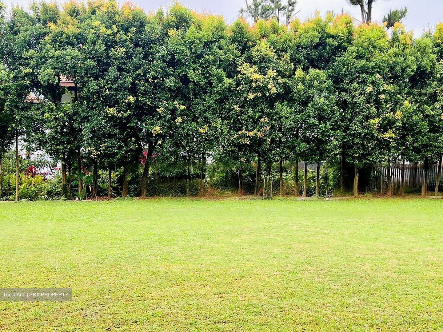 Bin Tong Park (D10), Detached #460160461